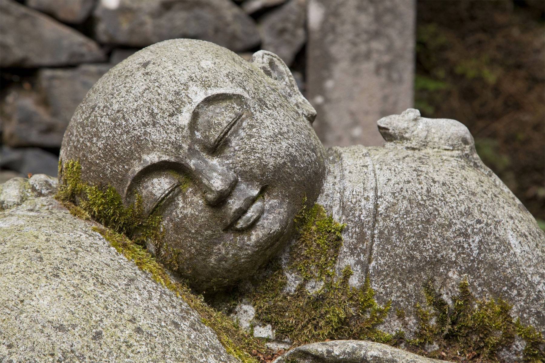 Ausbildung Achtsamkeitstrainer*in